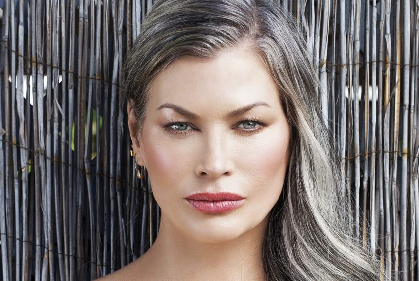 carre otis net