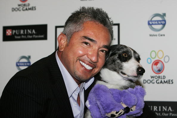 cesar millan net worth 2024