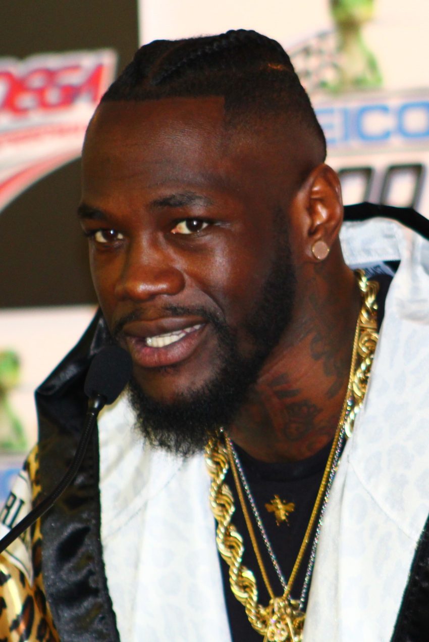 deontay wilder net