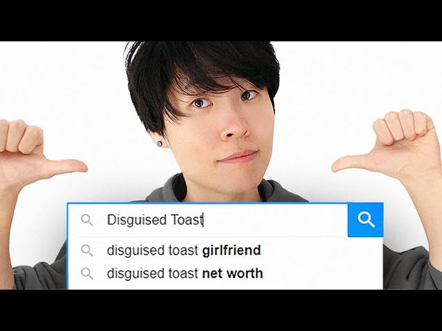 disguised toast net
